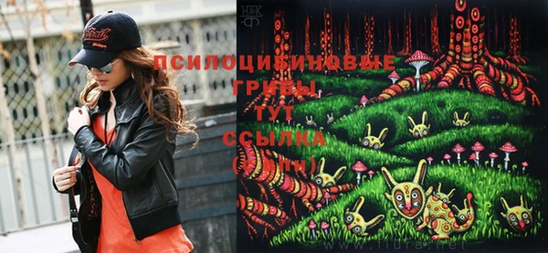 дурь Армянск